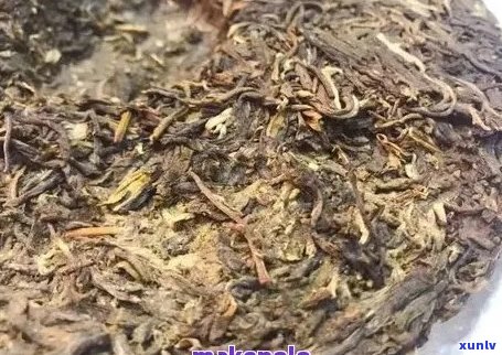 普洱茶里的金花价位