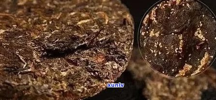 普洱茶里的金花价位