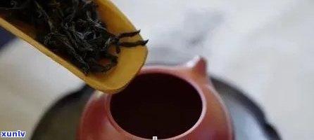 朱砂泡普洱茶是否可行？如何正确使用朱砂泡普洱茶？