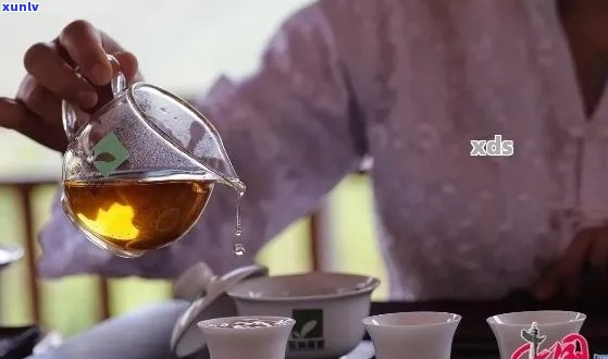 普洱茶月历：饮茶新体验与品茗文化融合