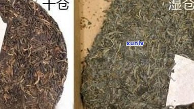 普洱茶的霉味：影响其品质及对人体健的影响全面解析