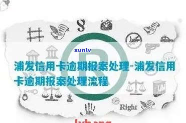 信用卡逾期报案：谁来发起？原因是什么？如何处理？