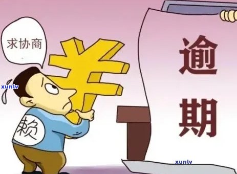 从信用卡逾期到投资失败：如何避免财务困境并重拾信用？