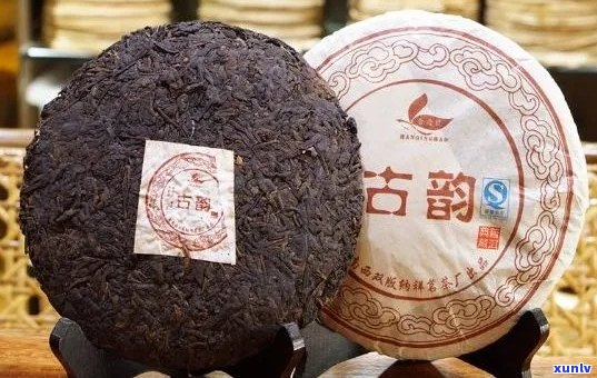 石家正定县普洱茶产地：寻找正定县的普洱茶店和产地信息。