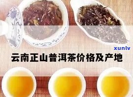 西定正山普洱茶价格、产地与特点一览表：勐海西定山普洱茶全解析