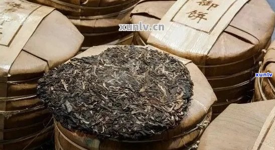 熟普洱茶大叶与小叶口感对比：哪个更适合你的口味？