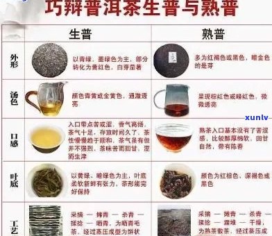 熟普洱茶大叶与小叶口感对比：哪个更适合你的口味？