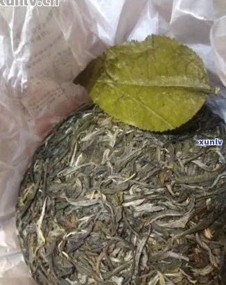 熟普洱茶大叶与小叶口感对比：哪个更适合你的口味？