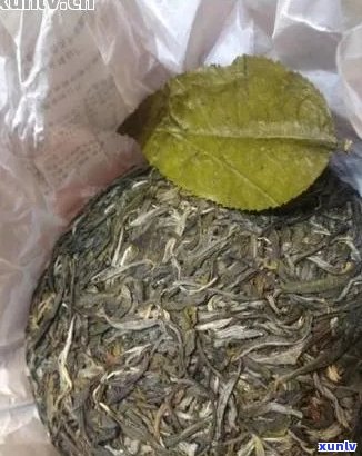 新大叶熟普洱茶与小叶熟普洱茶的区别与选择