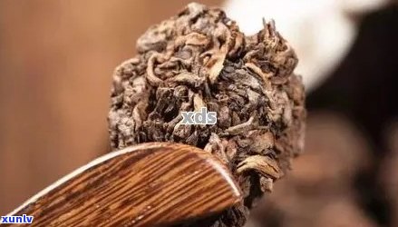 熟普洱茶大叶与小叶的区别：哪种更好？