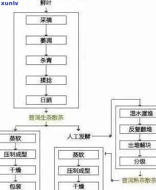 普洱茶的醇化过程：探索其发酵原理与陈化价值