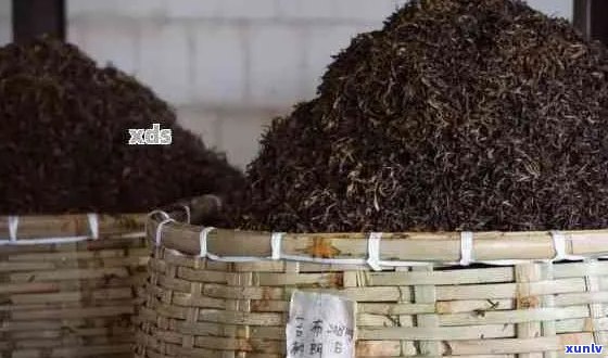 普洱茶的醇化过程：探索其发酵原理与陈化价值