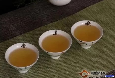 江熟普洱茶供应商：哪些公司提供优质产品？