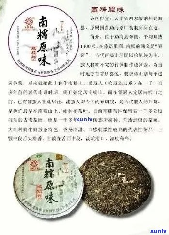 江熟普洱茶供应商：哪些公司提供优质产品？