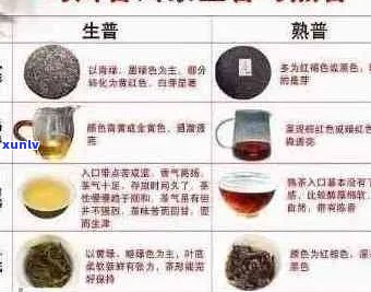 江熟普洱茶供应商名录：全方位寻找优质茶叶供应商的指南