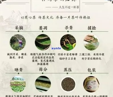 江熟普洱茶供应商名录：全方位寻找优质茶叶供应商的指南