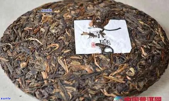 江熟普洱茶供应商