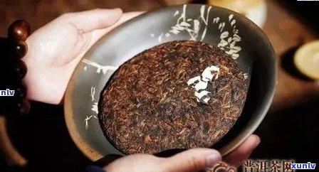 合肥精选熟普洱茶：品质、产地、冲泡 *** 一应俱全，让你轻松选购与品鉴