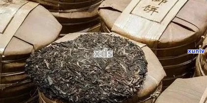 哪个的普洱茶品质更优秀？——探究普洱茶市场中的优质