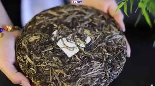 普洱茶那几个：品质正宗，更受欢迎的茶叶比较