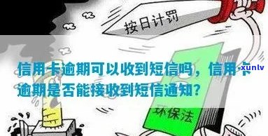 信用卡逾期后是否会收到 *** 提醒通知？