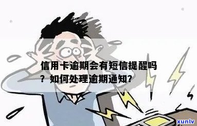 信用卡逾期后是否会收到 *** 提醒通知？