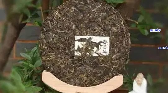 普洱茶那几个：品质正宗，更受欢迎的茶叶比较