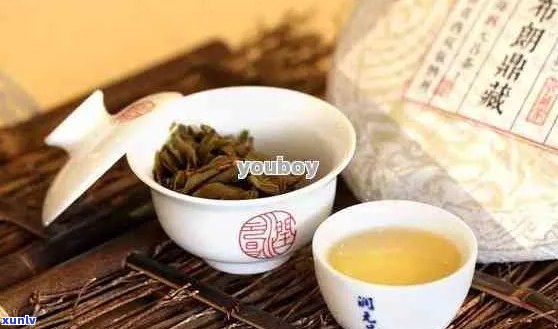 普洱茶那几个：品质正宗，更受欢迎的茶叶比较