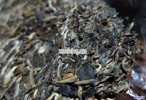 云南普洱茶五大推荐：哪个牌子的普洱茶最值得品尝？