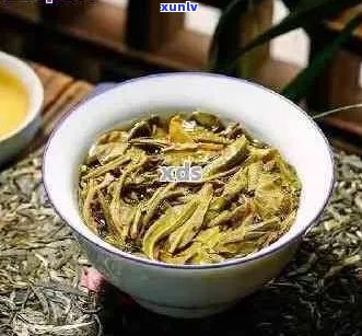 云南普洱茶五大推荐：哪个牌子的普洱茶最值得品尝？