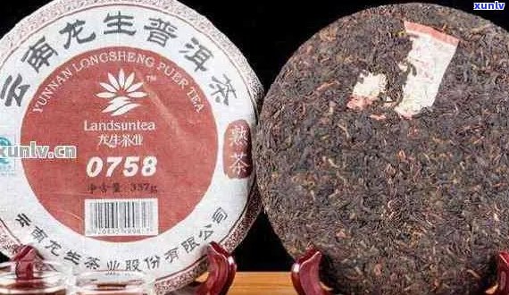 云南普洱茶五大推荐：哪个牌子的普洱茶最值得品尝？