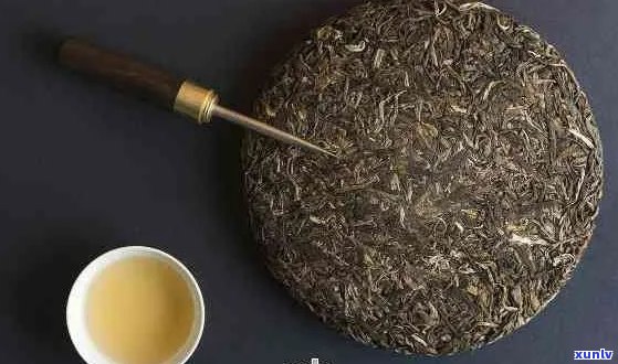 云南普洱茶五大推荐：哪个牌子的普洱茶最值得品尝？