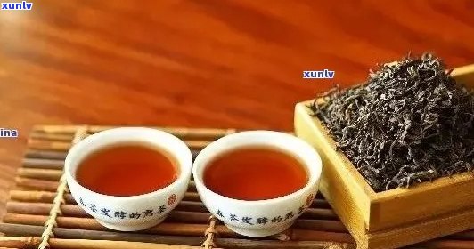 全面解析：寻找普洱茶性价比之王，哪个最值得信？