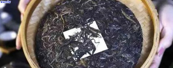 探究普洱茶变质现象：如何识别泡出来的坏味道？