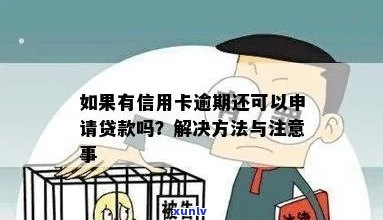 信用卡逾期9个月，如何申请贷款解决问题？了解详细步骤和注意事项