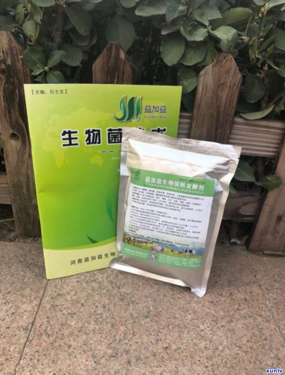 普洱茶后发酵的微生物代谢过程及其与全发酵茶的区别：哪个更好喝？