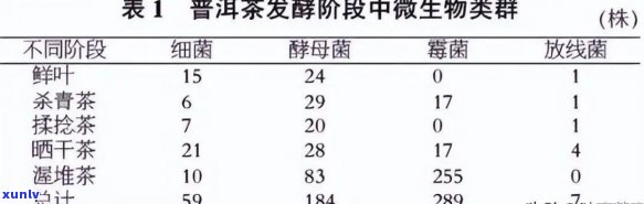 普洱茶后发酵的微生物代谢过程及其与全发酵茶的区别：哪个更好喝？