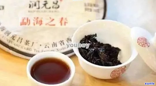 云南龙润普洱茶兰馨：品质、产地、口感、功效与泡法全面解析