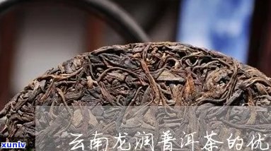 云南龙润普洱茶兰馨：品质、产地、口感、功效与泡法全面解析