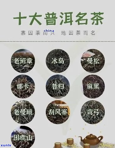 优质普洱茶品种排行榜：精选四大名山及古树茶，让你一饱口福！