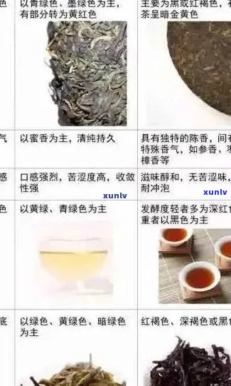 普洱茶品种与全面对比：哪个品种？哪个最值得推荐？