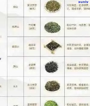 普洱茶品种与全面对比：哪个品种？哪个最值得推荐？