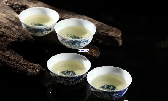 新探寻古树普洱茶的独特韵味：品茗体验与感受分享