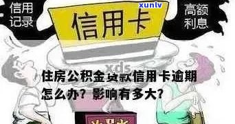 新信用卡逾期还款困难，如何解决公积金贷款问题？