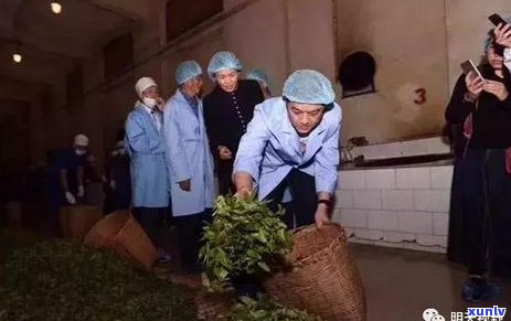 探寻普洱茶饼内飞：一种独特的制茶技艺及其历文化内涵