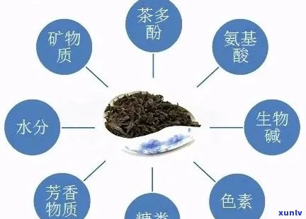 普洱茶的蜜香之谜：成分、工艺与口感的完美融合