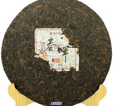 善本号普洱茶多少钱：了解普洱茶价格及优质品种