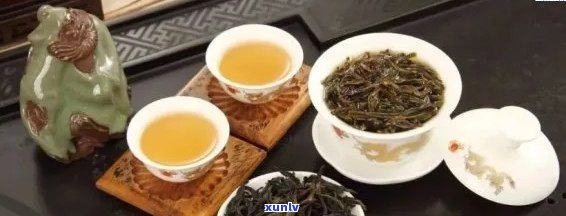 汕尾特色茶品种及品鉴：探索汕尾茶叶的风味与功效