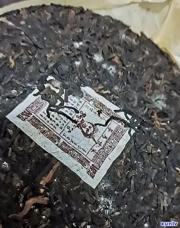 怎么看普洱茶饼发霉