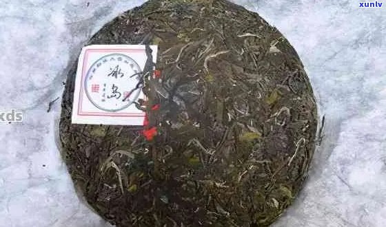 怎么看普洱茶饼发霉